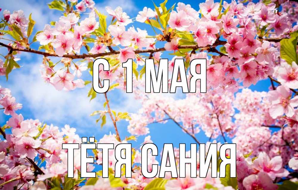 Открытка на каждый день с именем, Тётя-Сания С 1 мая С 1 мая Прикольная открытка с пожеланием онлайн скачать бесплатно 