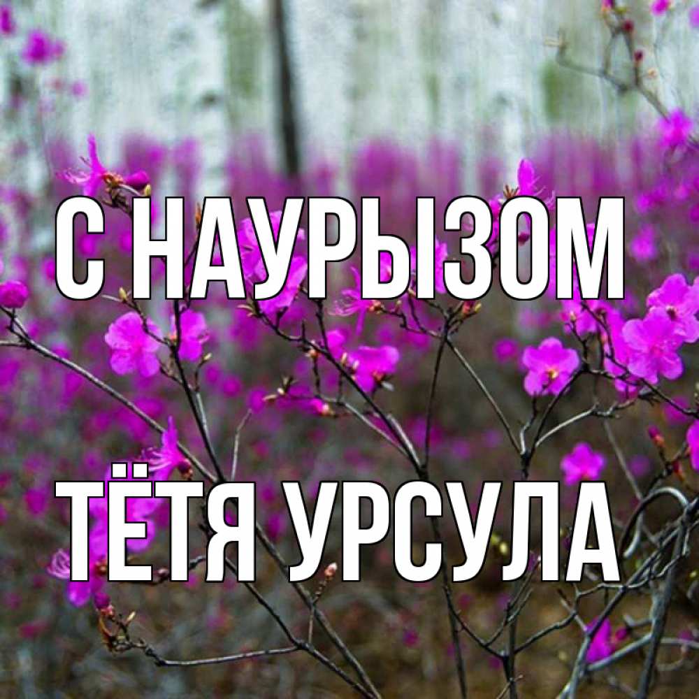 Открытка на каждый день с именем, Тётя-Урсула С наурызом дикие цветы Прикольная открытка с пожеланием онлайн скачать бесплатно 