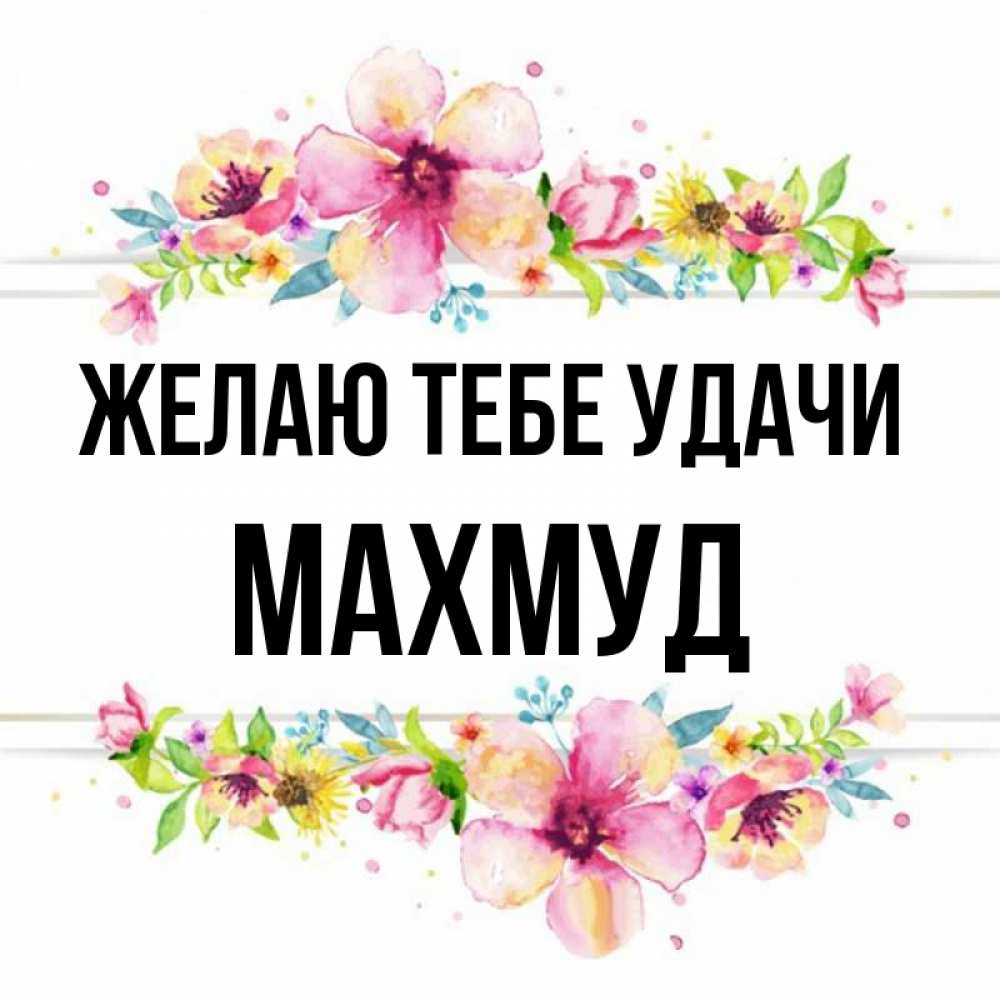 С днем рождения махмуд картинки