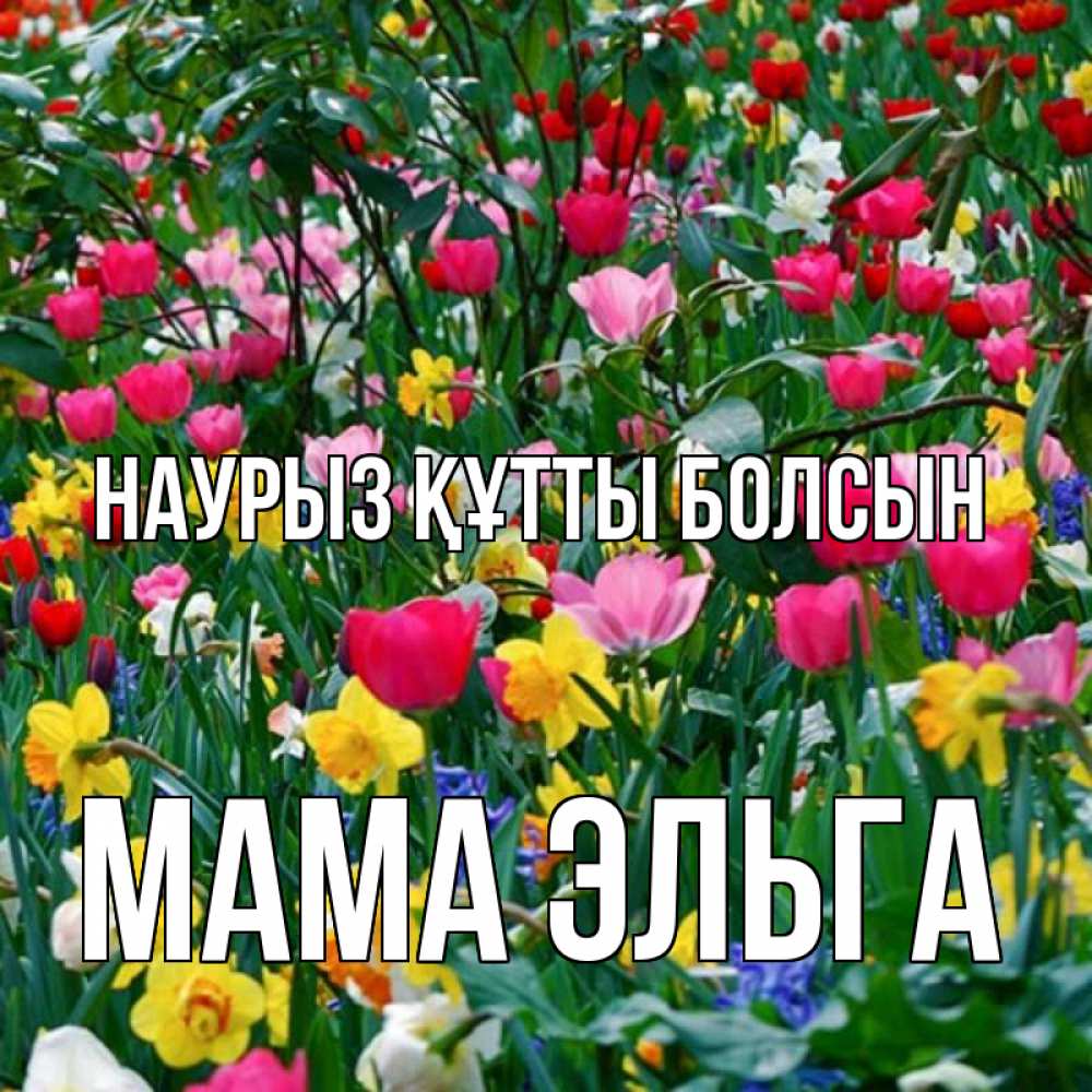 Открытка на каждый день с именем, Мама-Эльга Наурыз құтты болсын с наурызом поздравления для женщины Прикольная открытка с пожеланием онлайн скачать бесплатно 