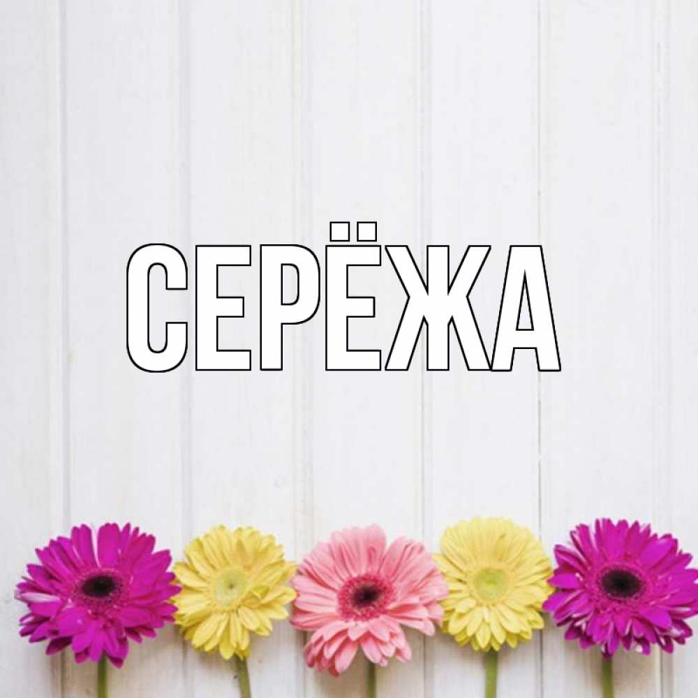 Открытка на каждый день с именем, Серёжа Главная красный желтый и розовый цветок Прикольная открытка с пожеланием онлайн скачать бесплатно 