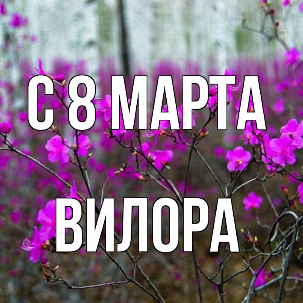 Открытка на каждый день с именем, Вилора С 8 марта дикие цветы Прикольная открытка с пожеланием онлайн скачать бесплатно 