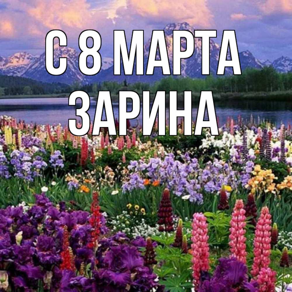 Открытка на каждый день с именем, Зарина С 8 МАРТА международный женский день Прикольная открытка с пожеланием онлайн скачать бесплатно 