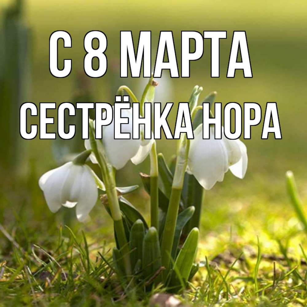 Открытка на каждый день с именем, Сестрёнка-Нора С 8 МАРТА ранние цветы 2 Прикольная открытка с пожеланием онлайн скачать бесплатно 