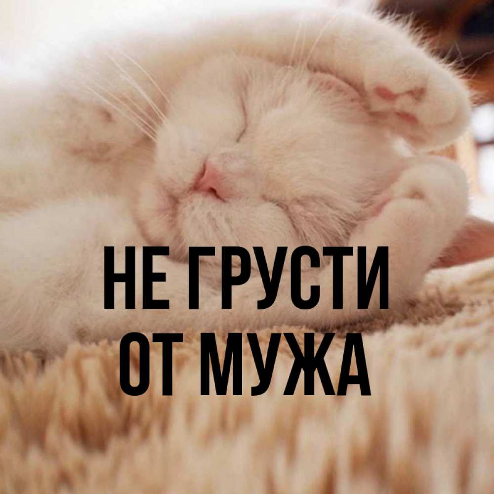 Открытка не грусти