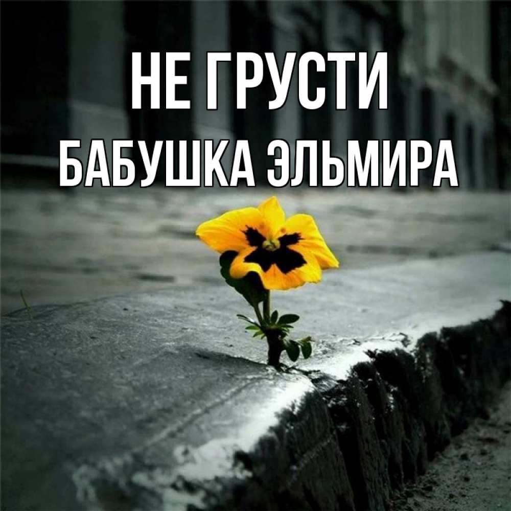 Открытка на каждый день с именем, Бабушка-Эльмира Не грусти не сдавайся Прикольная открытка с пожеланием онлайн скачать бесплатно 
