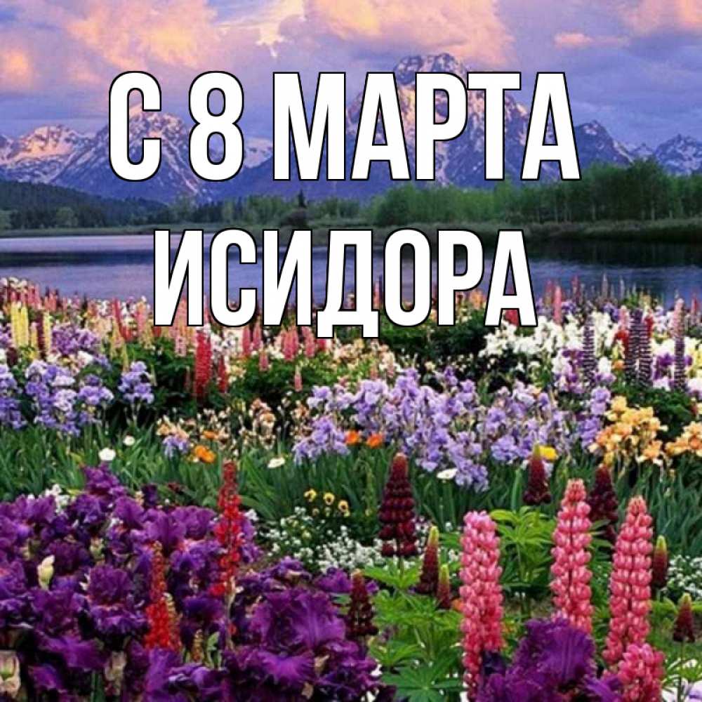 Открытка на каждый день с именем, Исидора С 8 МАРТА международный женский день Прикольная открытка с пожеланием онлайн скачать бесплатно 