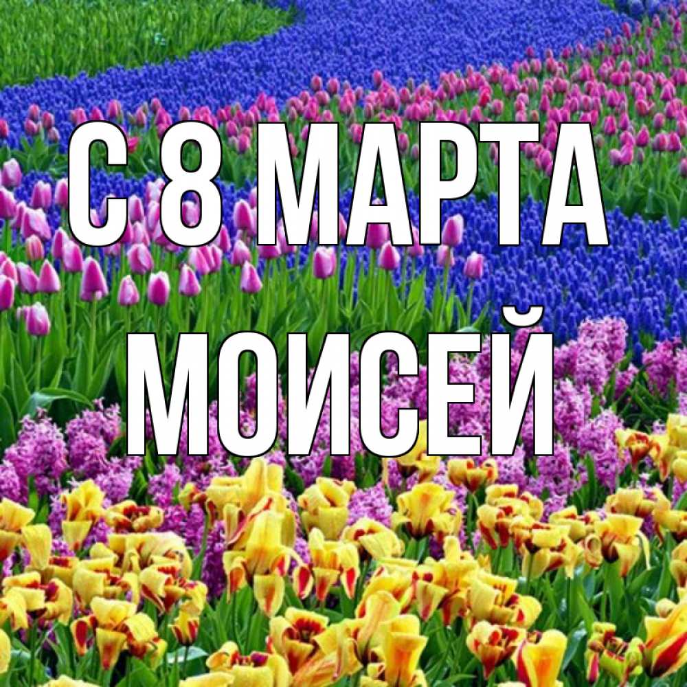 Картинка С 8 марта, Моисей