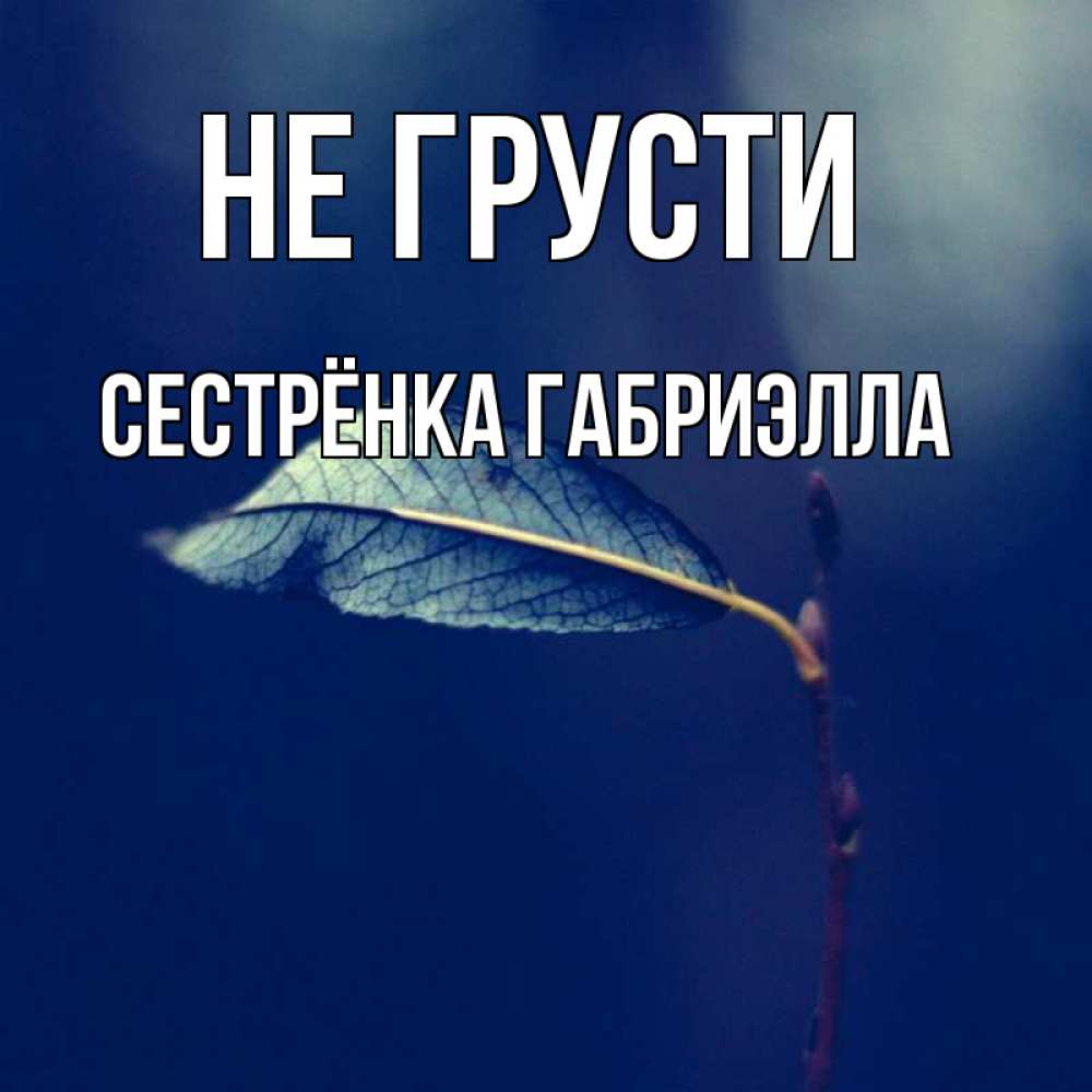 Открытка на каждый день с именем, Сестрёнка-Габриэлла Не грусти растение Прикольная открытка с пожеланием онлайн скачать бесплатно 