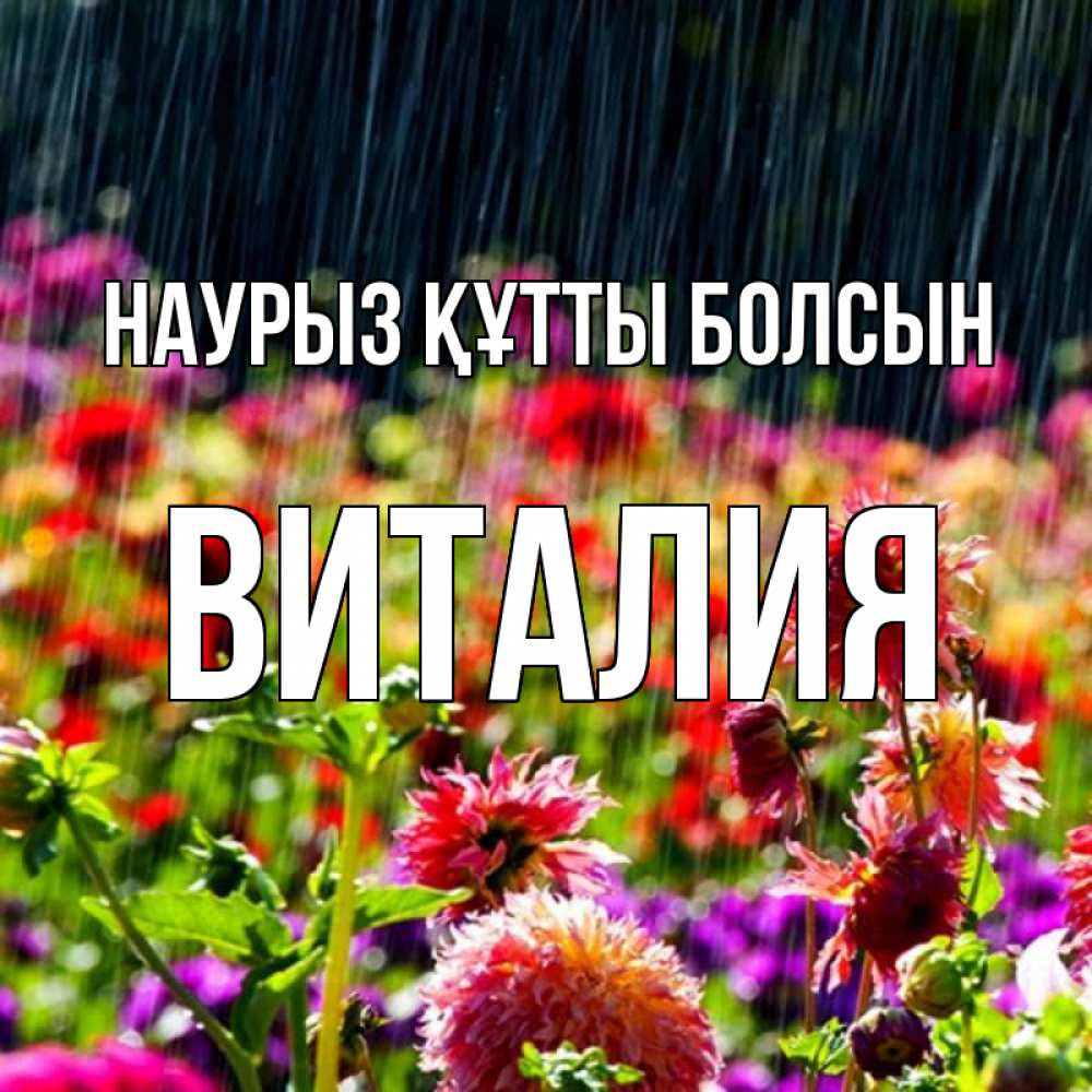 Открытка на каждый день с именем, Виталия Наурыз құтты болсын цветы под дождиком к наурызу Прикольная открытка с пожеланием онлайн скачать бесплатно 