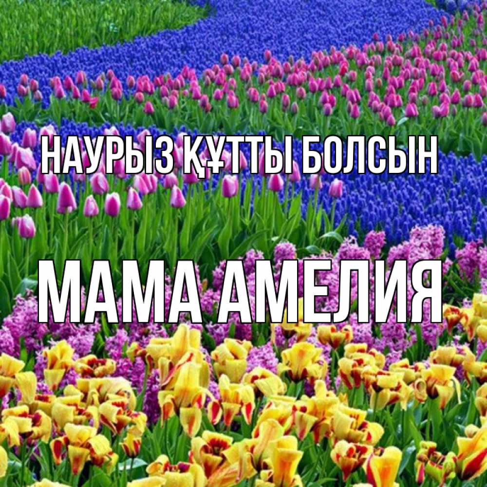 Открытка на каждый день с именем, Мама-Амелия Наурыз құтты болсын цветы Прикольная открытка с пожеланием онлайн скачать бесплатно 