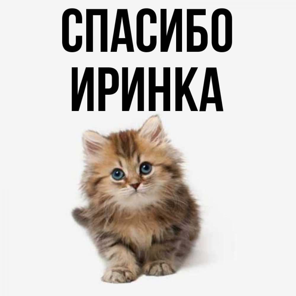Картинки спасибо иринка