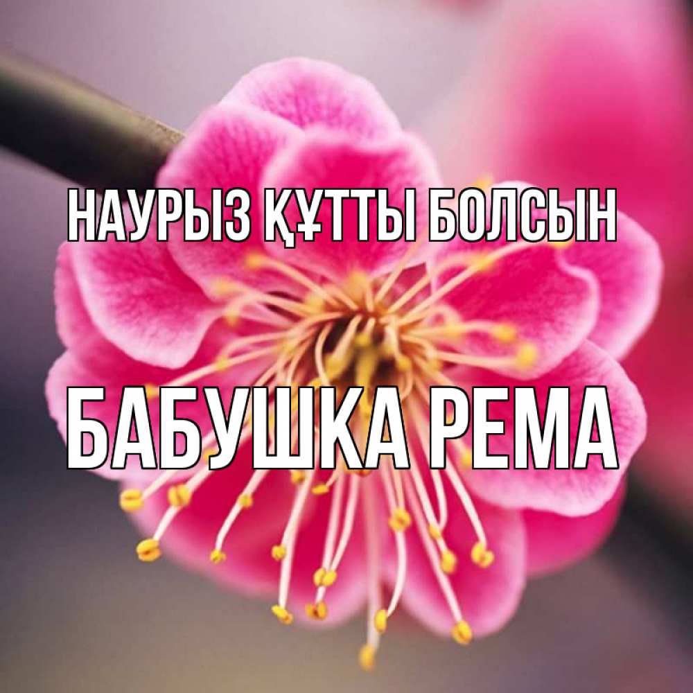 Открытка на каждый день с именем, Бабушка-Рема Наурыз құтты болсын цветы Прикольная открытка с пожеланием онлайн скачать бесплатно 