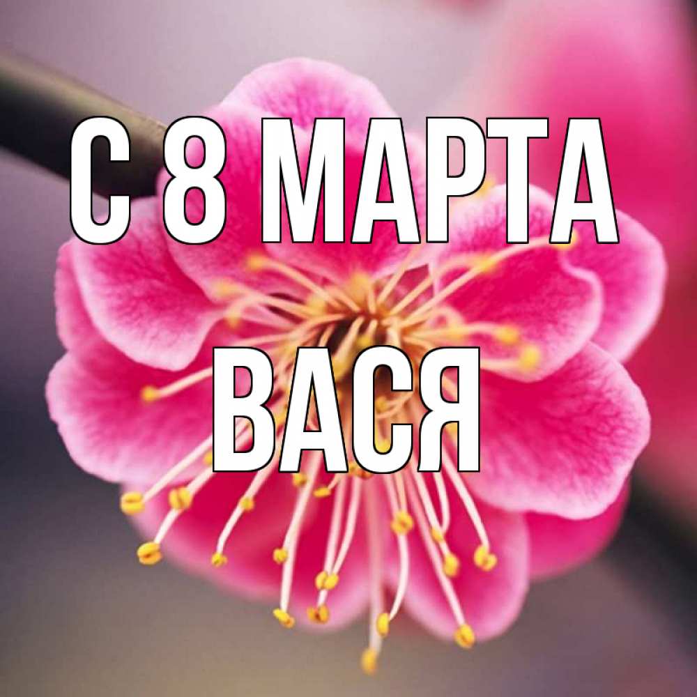 Открытка на каждый день с именем, Вася С 8 МАРТА цветы Прикольная открытка с пожеланием онлайн скачать бесплатно 