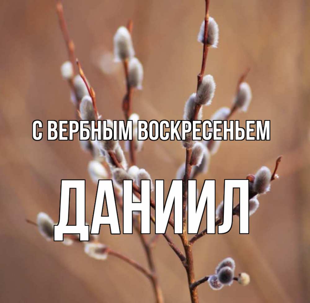 Открытка на каждый день с именем, Даниил С вербным воскресеньем верба Прикольная открытка с пожеланием онлайн скачать бесплатно 