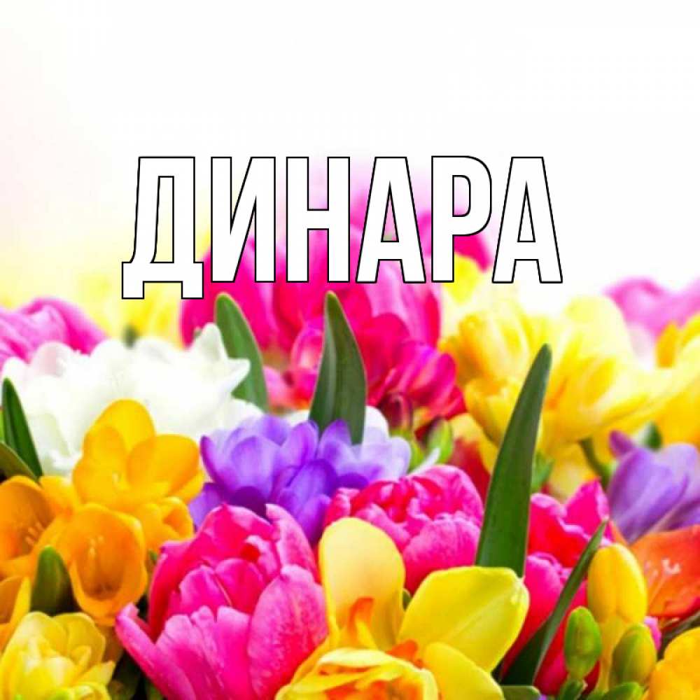Открытка на каждый день с именем, Динара Главная тюльпаны Прикольная открытка с пожеланием онлайн скачать бесплатно 