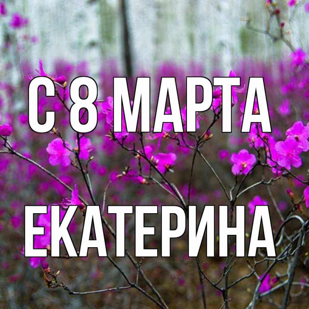 Открытка на каждый день с именем, Екатерина С 8 МАРТА дикие цветы Прикольная открытка с пожеланием онлайн скачать бесплатно 