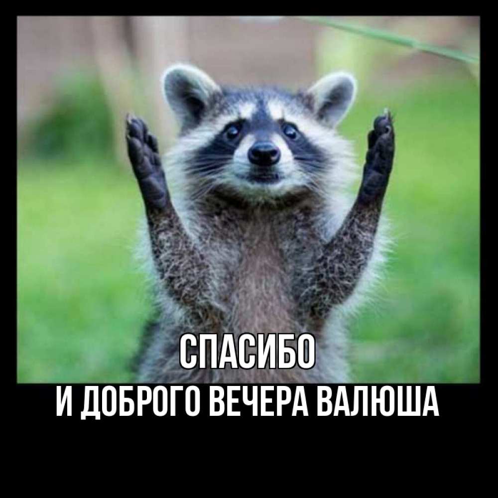 Открытка на каждый день с именем, И-ДОБРОГО-ВЕЧЕРА-ВАЛЮША Спасибо милые животные Прикольная открытка с пожеланием онлайн скачать бесплатно 