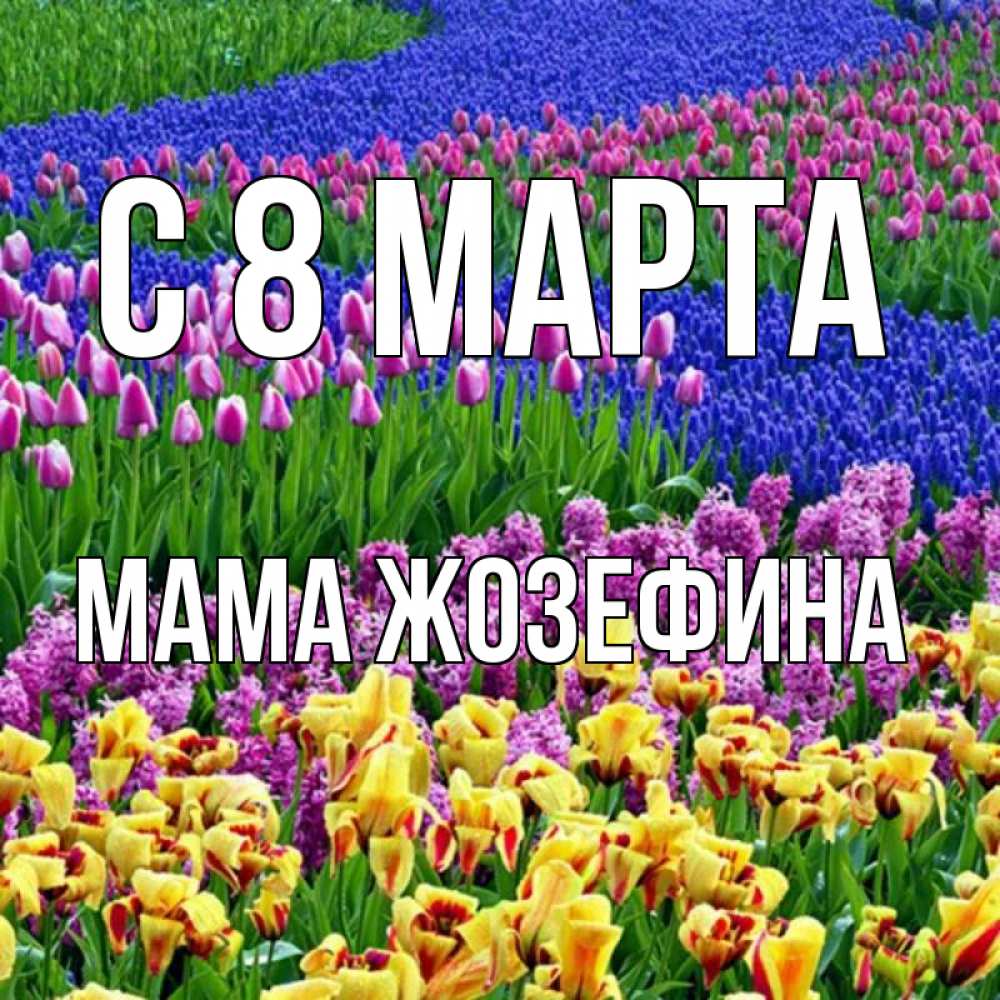 Открытка на каждый день с именем, Мама-Жозефина С 8 МАРТА цветы Прикольная открытка с пожеланием онлайн скачать бесплатно 