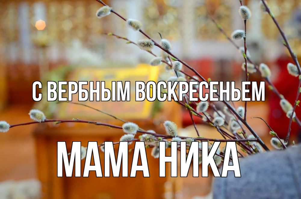 Открытка на каждый день с именем, Мама-Ника С вербным воскресеньем верба Прикольная открытка с пожеланием онлайн скачать бесплатно 