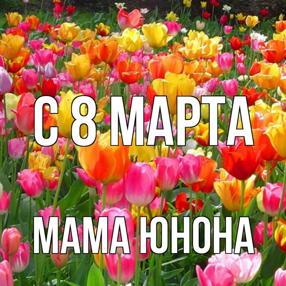 Открытка на каждый день с именем, Мама-Юнона С 8 МАРТА на международный женский день Прикольная открытка с пожеланием онлайн скачать бесплатно 