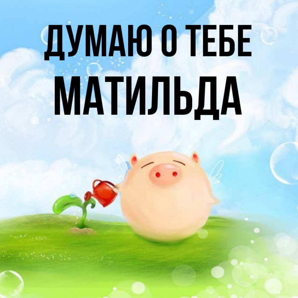 Открытка на каждый день с именем, Матильда Думаю о тебе позитивная свинюшка Прикольная открытка с пожеланием онлайн скачать бесплатно 