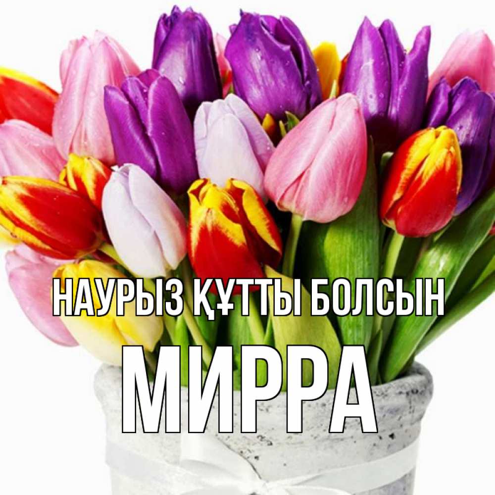 Открытка на каждый день с именем, Мирра Наурыз құтты болсын букет Прикольная открытка с пожеланием онлайн скачать бесплатно 