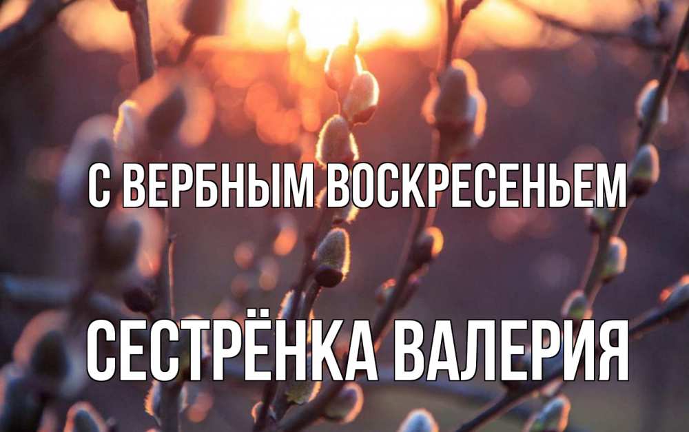 Открытка на каждый день с именем, Сестрёнка-Валерия С вербным воскресеньем верба Прикольная открытка с пожеланием онлайн скачать бесплатно 