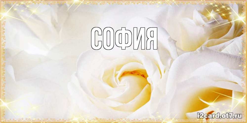 Открытка на каждый день с именем, София Главная красивые розы и капли росы на этих чудесных цветах Прикольная открытка с пожеланием онлайн скачать бесплатно 