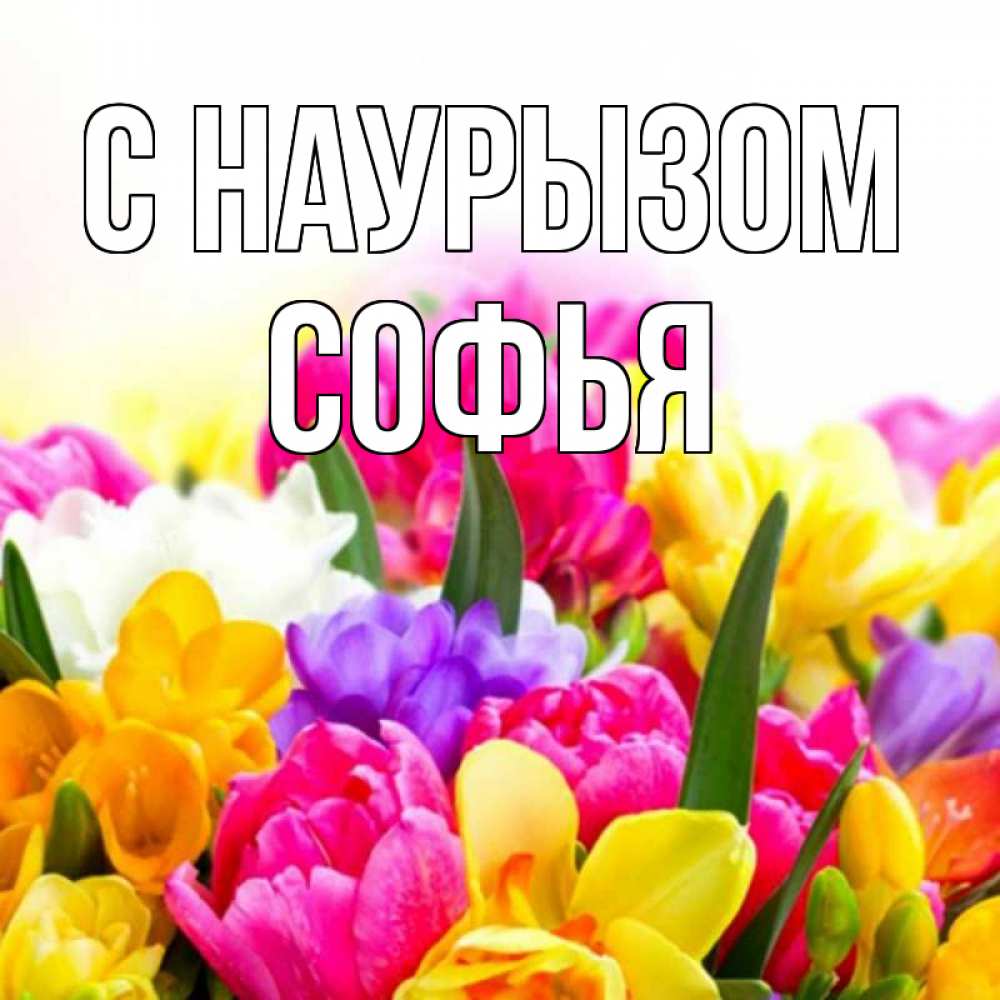Открытка на каждый день с именем, Софья С наурызом тюльпаны Прикольная открытка с пожеланием онлайн скачать бесплатно 
