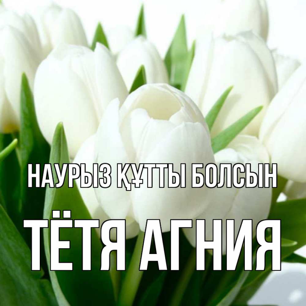 Открытка на каждый день с именем, Тётя-Агния Наурыз құтты болсын цветы Прикольная открытка с пожеланием онлайн скачать бесплатно 