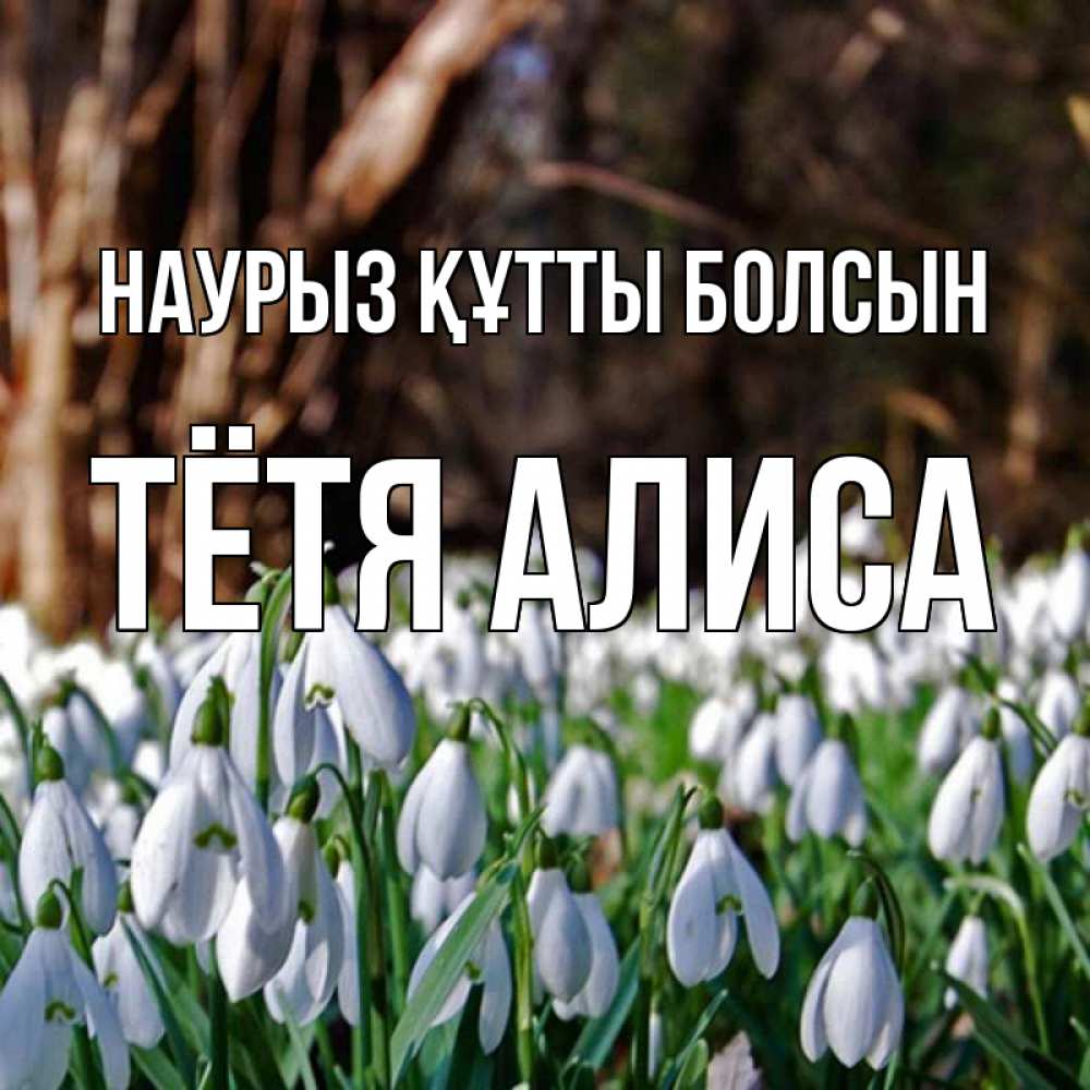 Открытка на каждый день с именем, Тётя-Алиса Наурыз құтты болсын с подснежниками 1 Прикольная открытка с пожеланием онлайн скачать бесплатно 