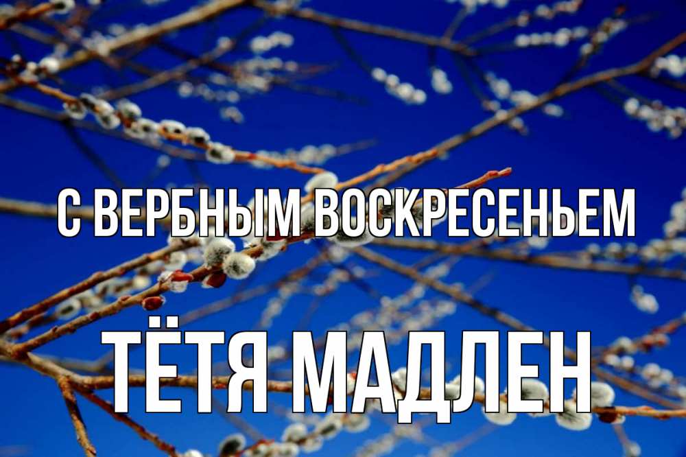 Открытка на каждый день с именем, Тётя-Мадлен С вербным воскресеньем верба Прикольная открытка с пожеланием онлайн скачать бесплатно 