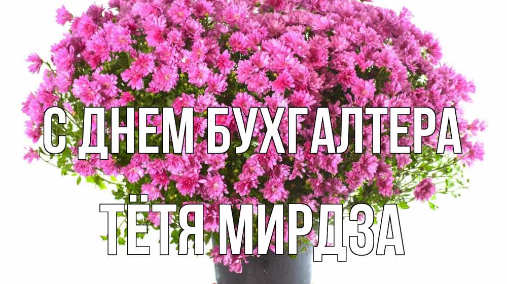 Открытка на каждый день с именем, Тётя-Мирдза С днем бухгалтера с днем бухгалтера Прикольная открытка с пожеланием онлайн скачать бесплатно 