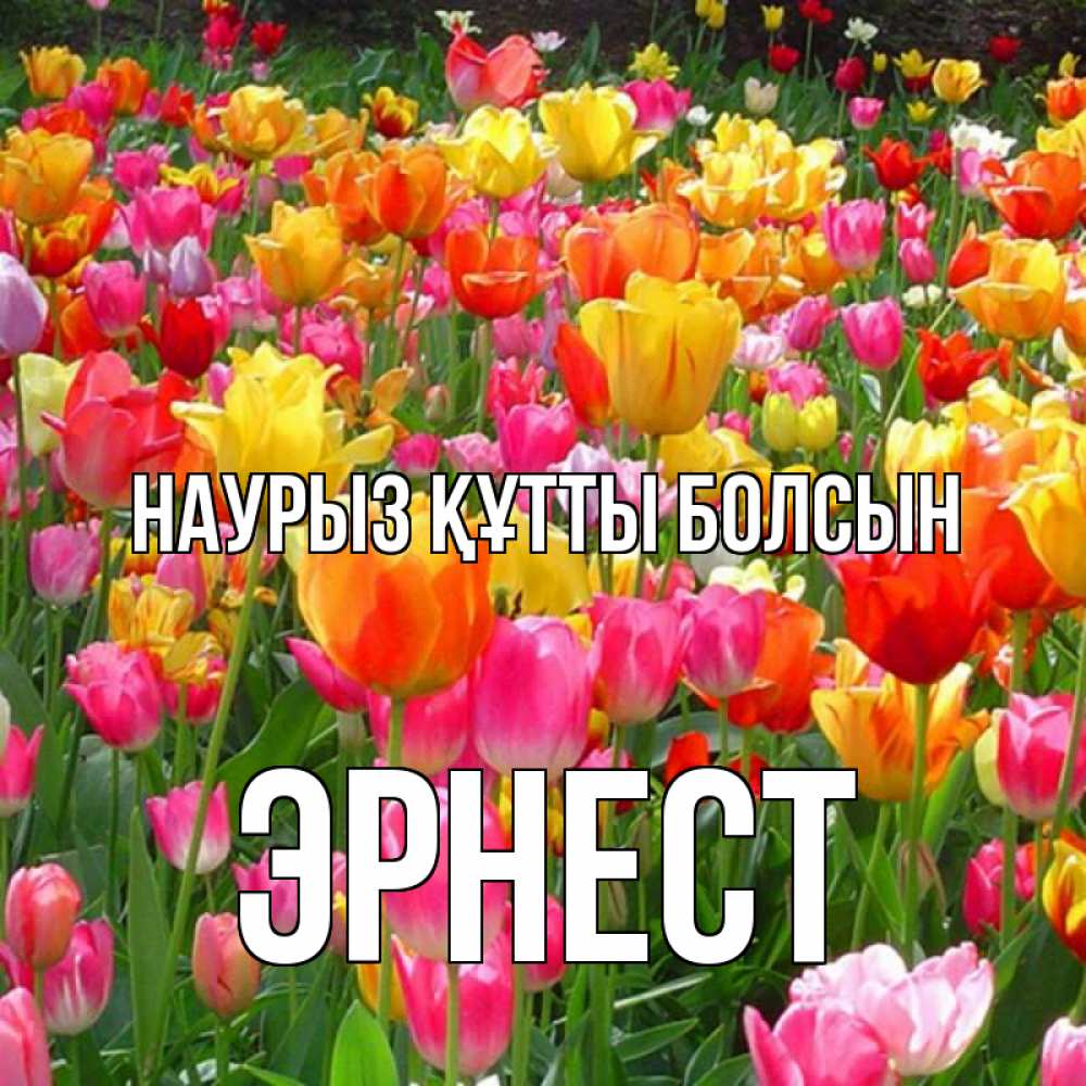Открытка на каждый день с именем, Эрнест Наурыз құтты болсын на наурыз  ура ура Прикольная открытка с пожеланием онлайн скачать бесплатно 
