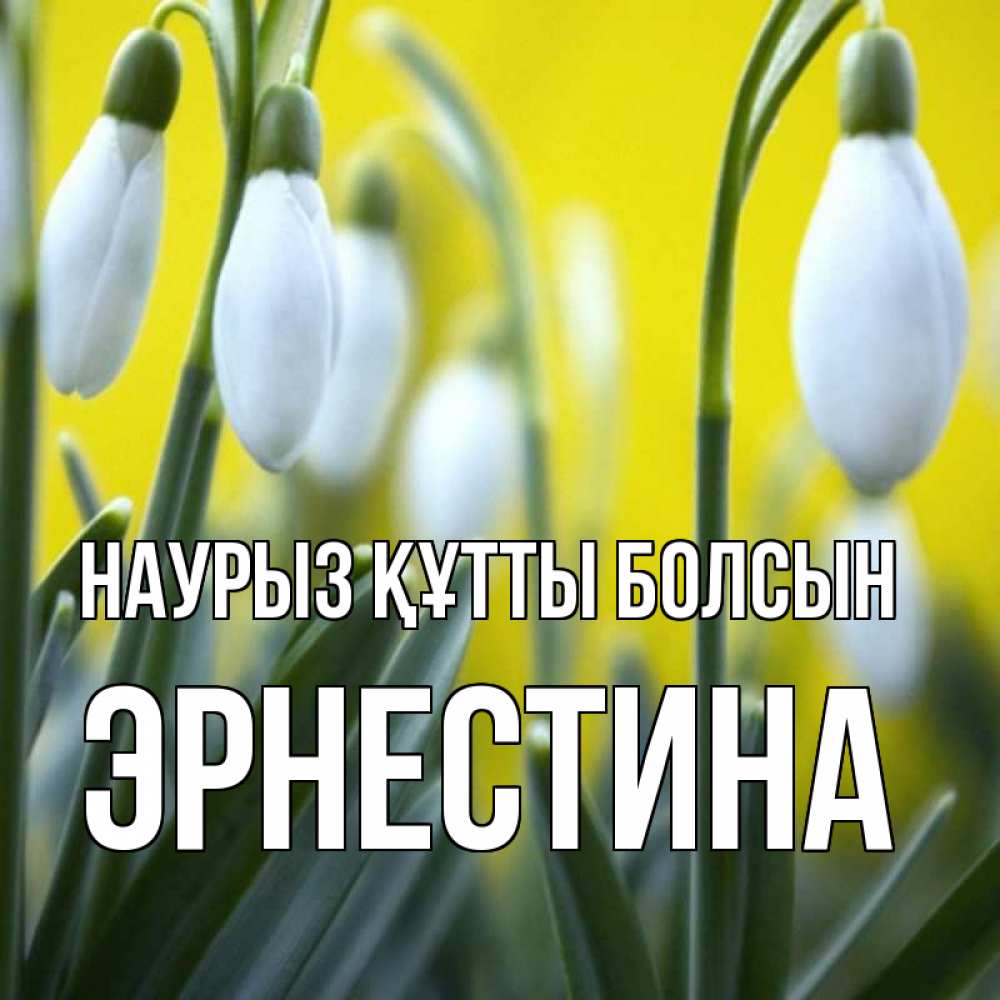 Открытка на каждый день с именем, Эрнестина Наурыз құтты болсын весенние цветы Прикольная открытка с пожеланием онлайн скачать бесплатно 