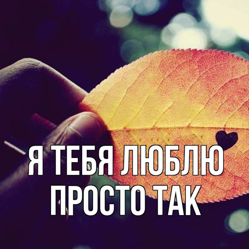 Открытка на каждый день с именем, просто-так Я тебя люблю держу лист Прикольная открытка с пожеланием онлайн скачать бесплатно 