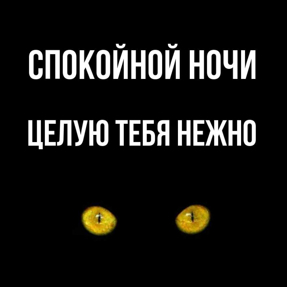 Цитаты фаина, спокойной ночи открытки целую