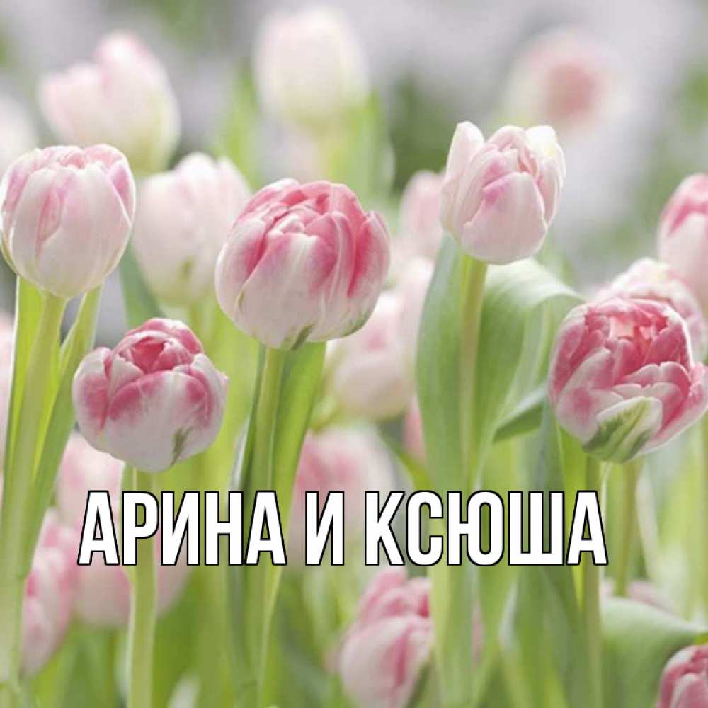Открытка на каждый день с именем, Арина-и-Ксюша Главная цветы Прикольная открытка с пожеланием онлайн скачать бесплатно 