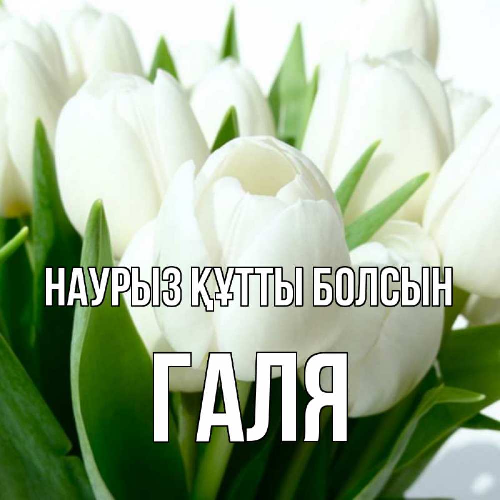 Картинка Наурыз құтты болсын, Галя