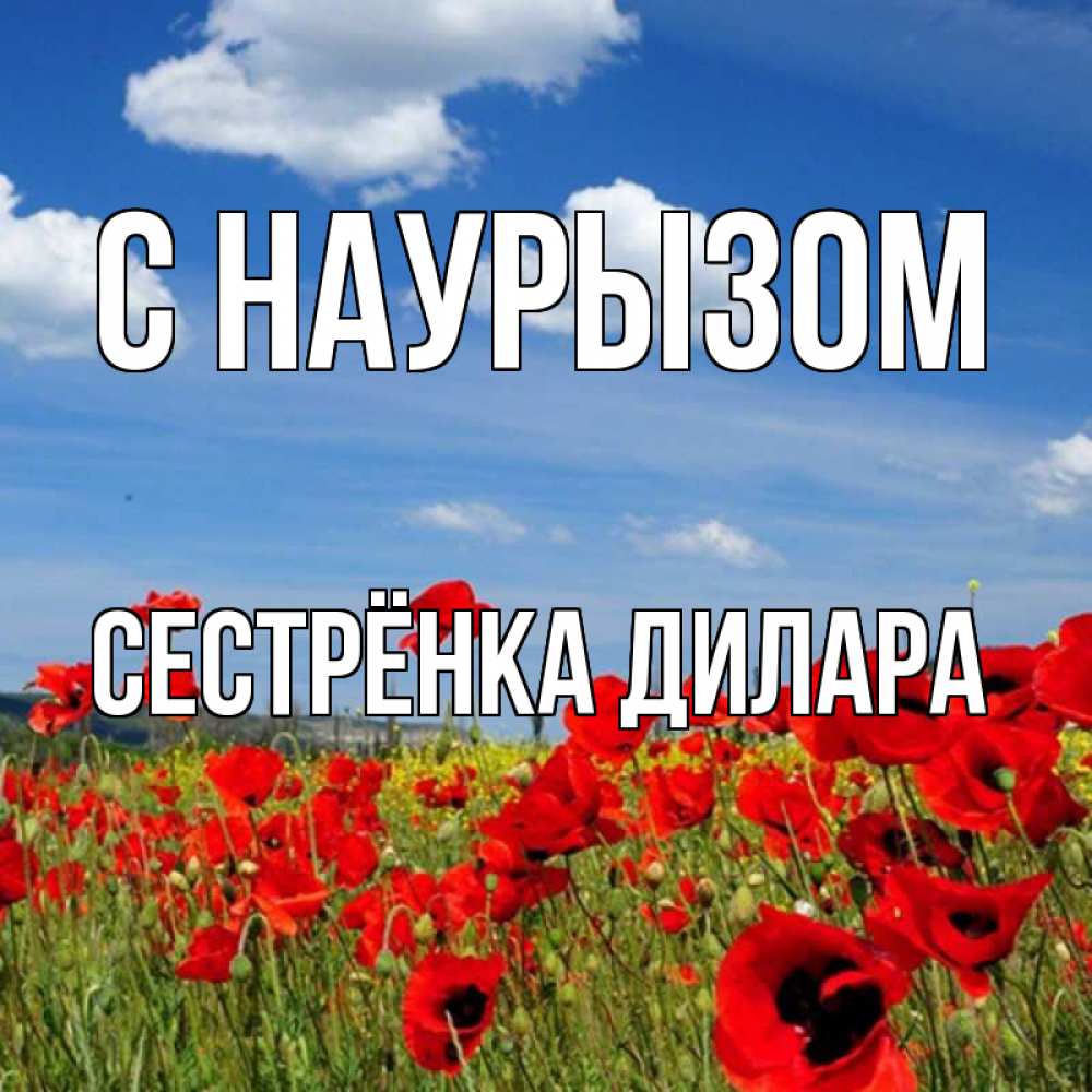 Открытка на каждый день с именем, Сестрёнка-Дилара С наурызом праздник весны наурыз очень красивая картинка Прикольная открытка с пожеланием онлайн скачать бесплатно 