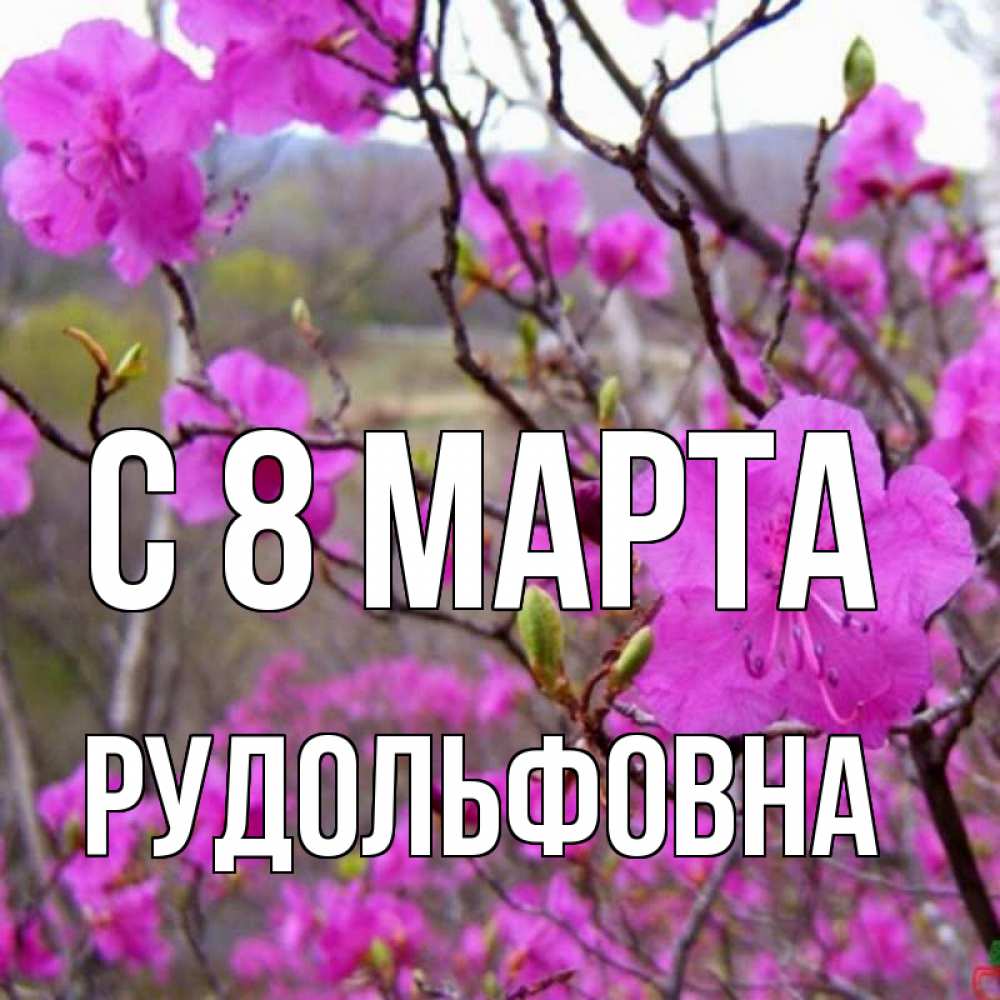 Открытка с именем, Рудольфовна, С 8 МАРТА