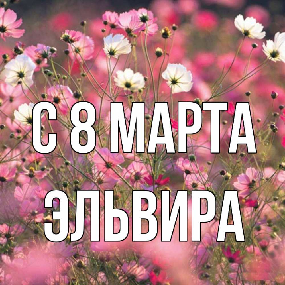 Открытка на каждый день с именем, Эльвира С 8 марта красиво 1 Прикольная открытка с пожеланием онлайн скачать бесплатно 