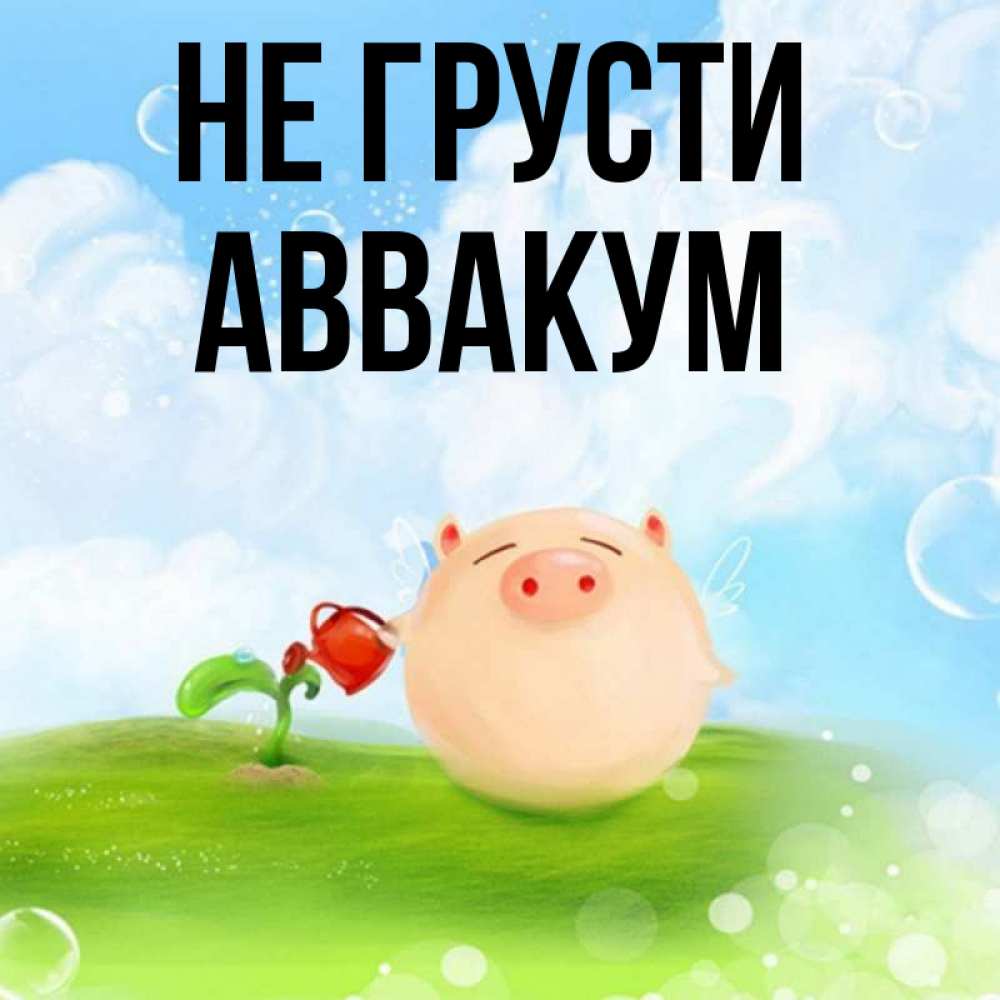 Открытка на каждый день с именем, Аввакум Не грусти поливает цветок порося Прикольная открытка с пожеланием онлайн скачать бесплатно 