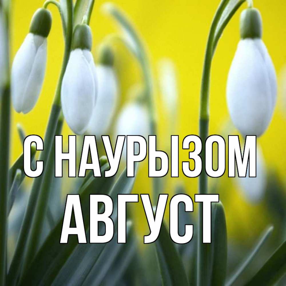 Открытка на каждый день с именем, Август С наурызом весенние цветы Прикольная открытка с пожеланием онлайн скачать бесплатно 