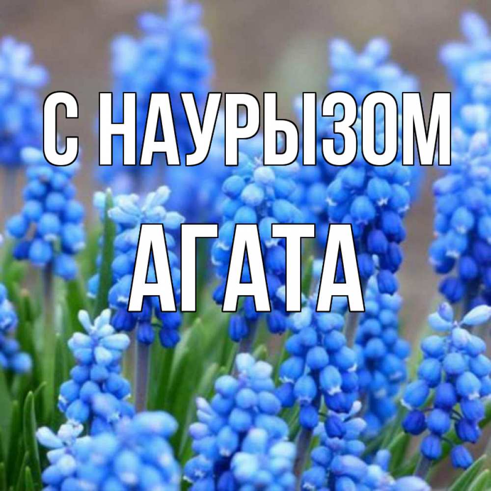 Открытка на каждый день с именем, Агата С наурызом Поздравительная открытка для женщин с цветами на праздничную дату Прикольная открытка с пожеланием онлайн скачать бесплатно 
