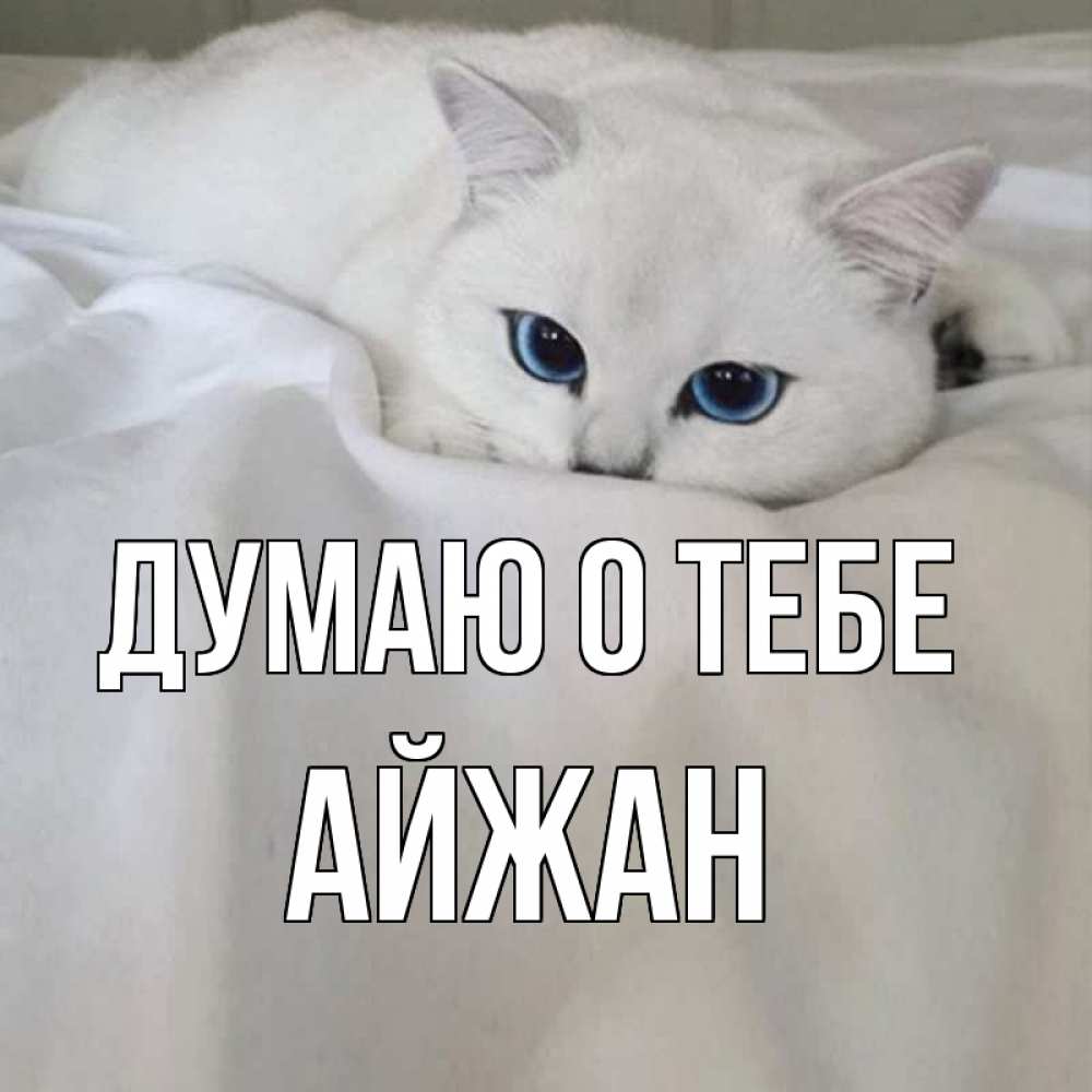 Открытка на каждый день с именем, Айжан Думаю о тебе я очень по тебе скучаю и тоскую Прикольная открытка с пожеланием онлайн скачать бесплатно 