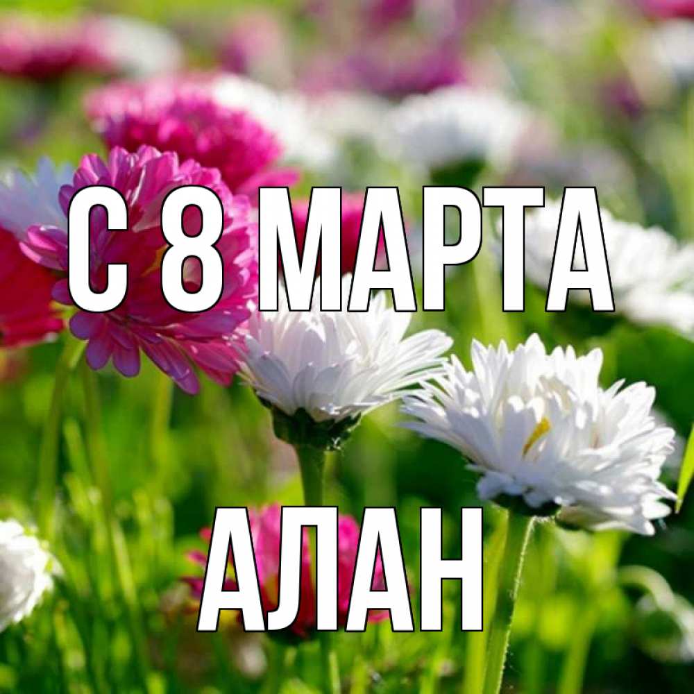Открытка на каждый день с именем, Алан С 8 МАРТА международный женский день 1 Прикольная открытка с пожеланием онлайн скачать бесплатно 