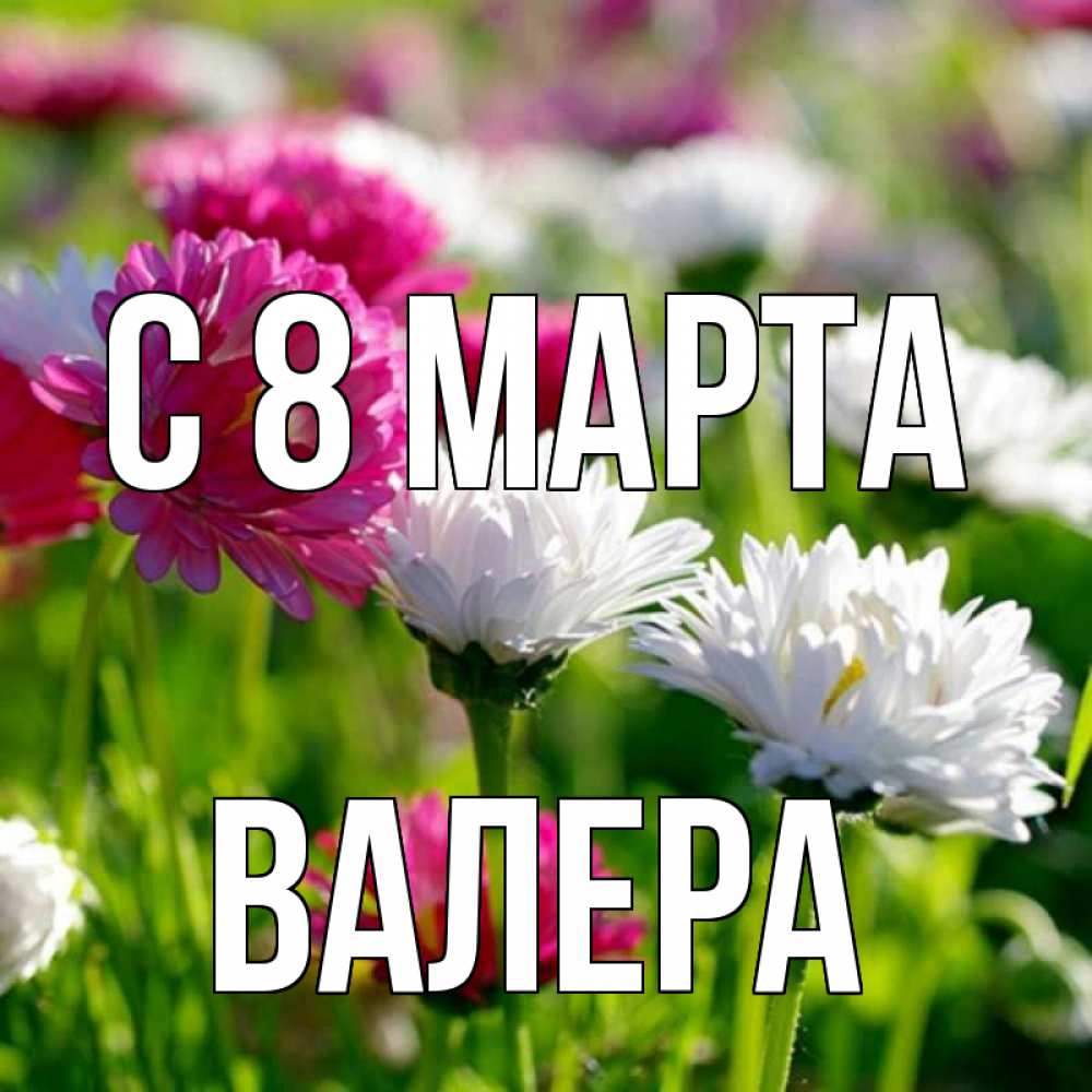 Открытка на каждый день с именем, Валера С 8 МАРТА международный женский день 1 Прикольная открытка с пожеланием онлайн скачать бесплатно 