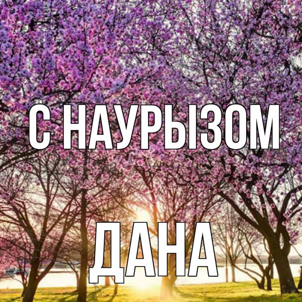 Открытка на каждый день с именем, Дана С наурызом праздник весны наурыз Прикольная открытка с пожеланием онлайн скачать бесплатно 